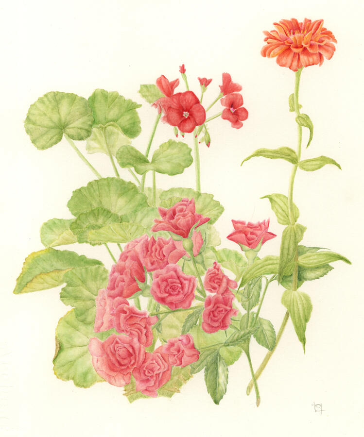 I Miss America - Watercolor