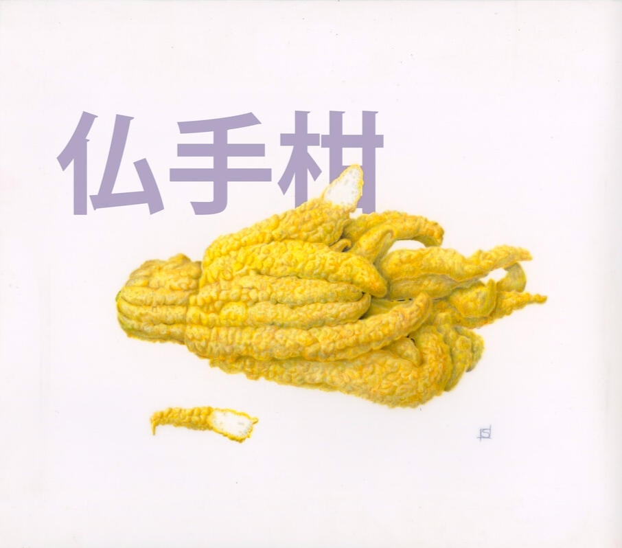 Buddha's Hand Citrus - Colored Pencil